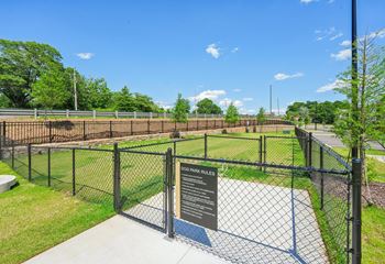Dog park